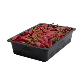Calabrian Hot Peppers 1,9 kg