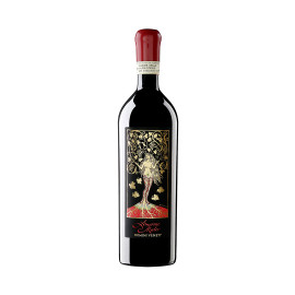 Domini Veneti - Amarone...