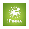 Pinna